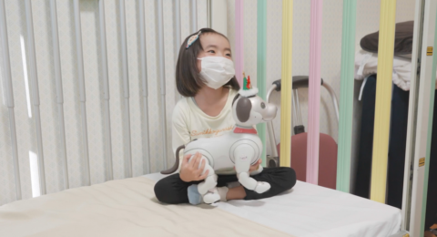 Video Friday: Aibo Foster Parents