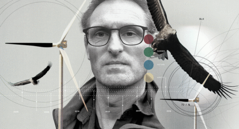 A Simple Solution to Wind Turbine Bird Deaths?