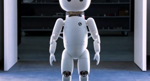 Cartwheel Robotics Wants to Build Humanoids That People Love