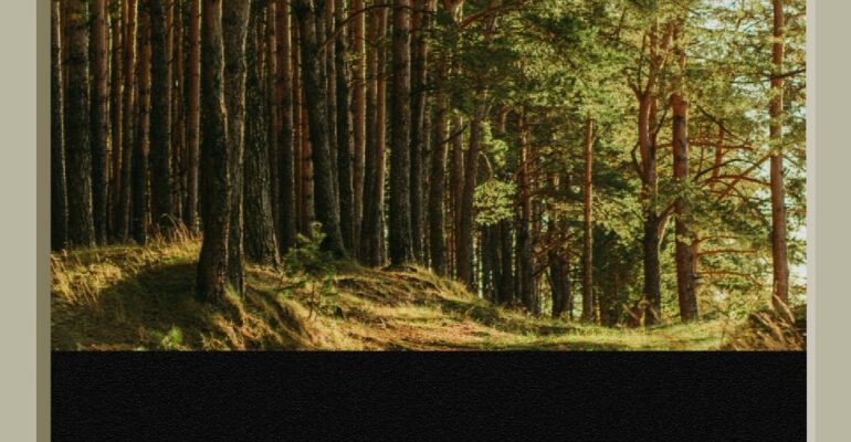 Why JPEGs Still Rule the Web