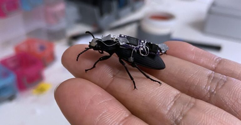 Video Friday: Cyborg Beetles May Speed Disaster Response One Day