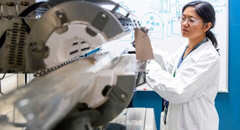 STEM Immigration’s Impact on U.S. Workforce Diversity