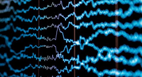 How Do You Know Whether You Perceive Pain the Same as Others?