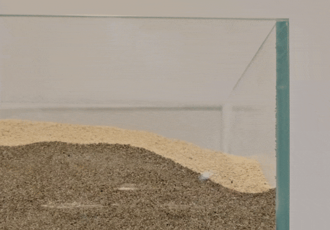 This Soft Robot Is 100% Edible, Including the Battery