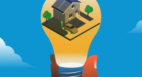 Virtual Power Plants Play the Imitation Game