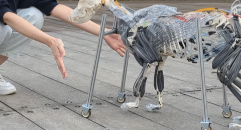 Video Friday: Robot Dog Shows Off Its Muscles