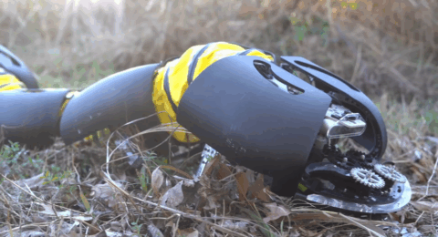 Video Friday: Watch Scuttle Evolve