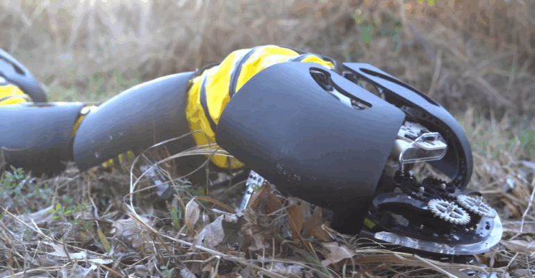 Video Friday: Watch Scuttle Evolve