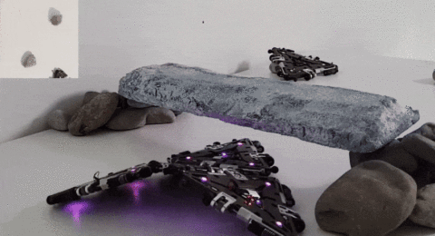 Video Friday: Robot Collective Stays Alive Even When Parts Die