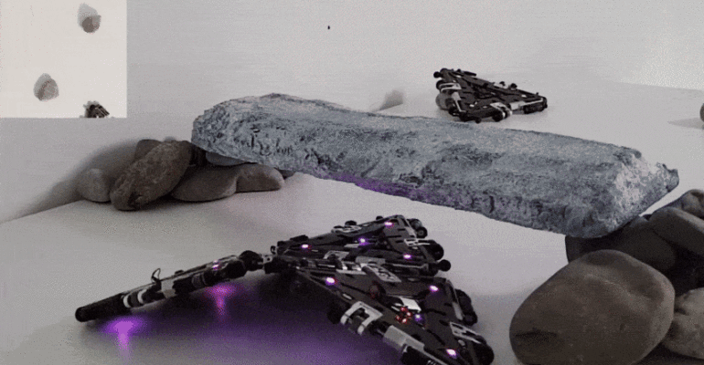 Video Friday: Robot Collective Stays Alive Even When Parts Die