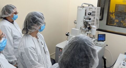IEEE Partners With Academia to Create Microcredential Programs