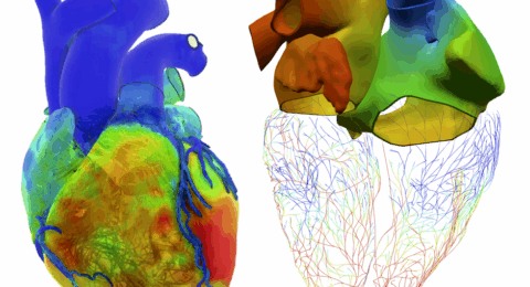 How Your Virtual Twin Could One Day Save Your Life