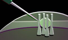 Squishy Photonic Switches Promise Fast Low Power Logic