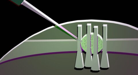 Squishy Photonic Switches Promise Fast Low Power Logic