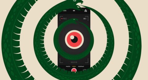 We Are Crowd-Sourcing the Panopticon