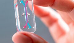 Tech to Replace Animal Testing Is Almost Ready. Scientists Are Not
