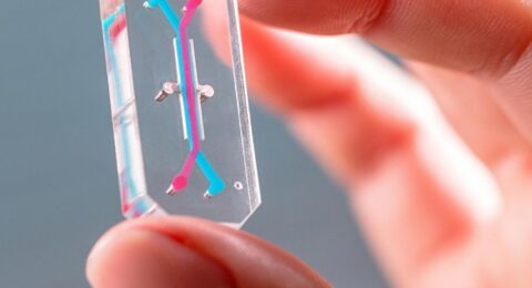 Tech to Replace Animal Testing Is Almost Ready. Scientists Are Not