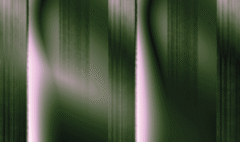 Poetry for Engineers: Of Code and Shortleaf Pine